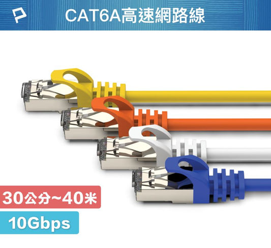 CAT6A 高速網路線 30公分~40米 10Gbps 網路線 RJ45 福祿克認證