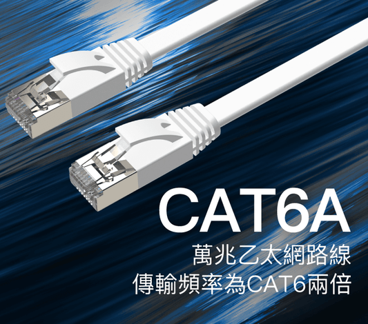 CAT6A扁線 30公分~20米 高速網路線 RJ45 福祿克認證