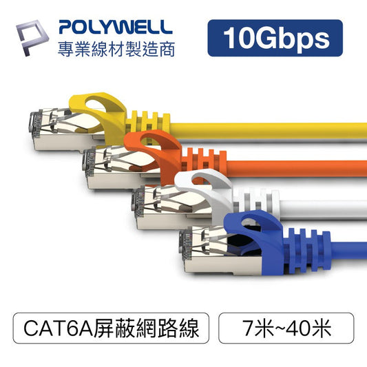 CAT6A 高速網路線 30公分~40米 10Gbps 網路線 RJ45 福祿克認證